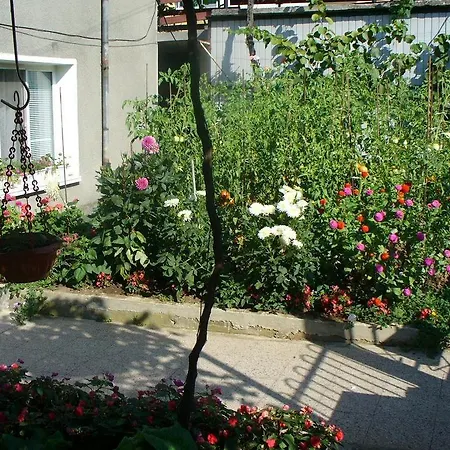 Kashtata * 茨雷沃